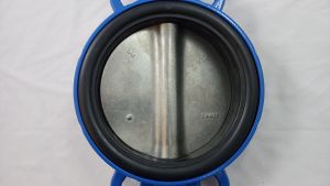 Danfoss 065B7445 - VFY-WG затвор дисковый DN150 PN16 корп. GG25 с центр. проуш.; Диск- AISI 316; упл. EPDM; С редуктором Использовать ответные фланцы по ГОСТ 33259-2015 исполнение В, тип 01