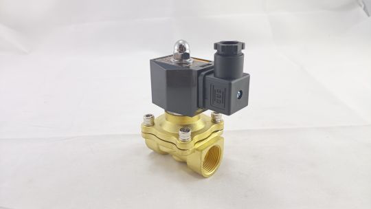 Катушка электромагнитная RFS 2W200-20H 220VAC Ду20