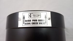 Обратный клапан Tecofi CA7441-0150 DN150 PN16 GGG50