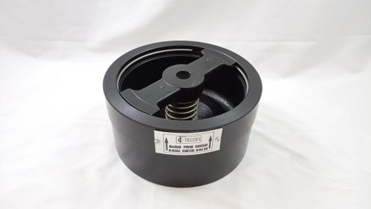 Обратный клапан Tecofi CA7441-0150 DN150 PN16 GGG50
