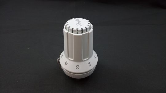 013G6525 Danfoss термостатический элемент RAS-CK