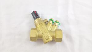 Регулятор перепада давления EDP Ду25 с измерительными ниппелями, FLOWCON 129230